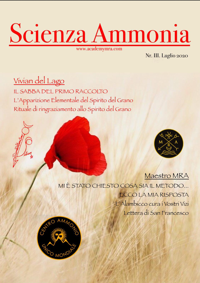 zRivista "SCIENZA AMMONIA" 2020, n.3