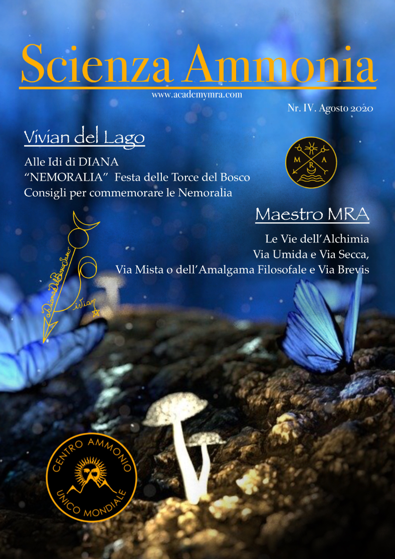 zRivista "SCIENZA AMMONIA" 2020, n.4