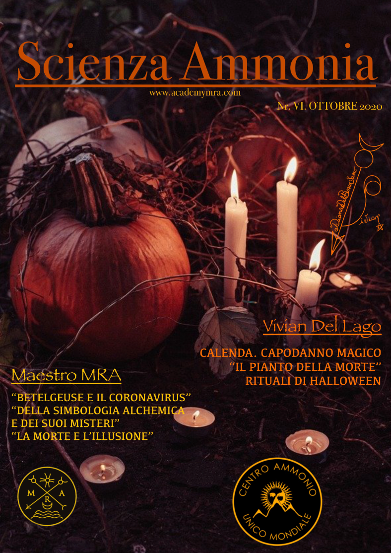 zRivista "SCIENZA AMMONIA" 2020, n.6